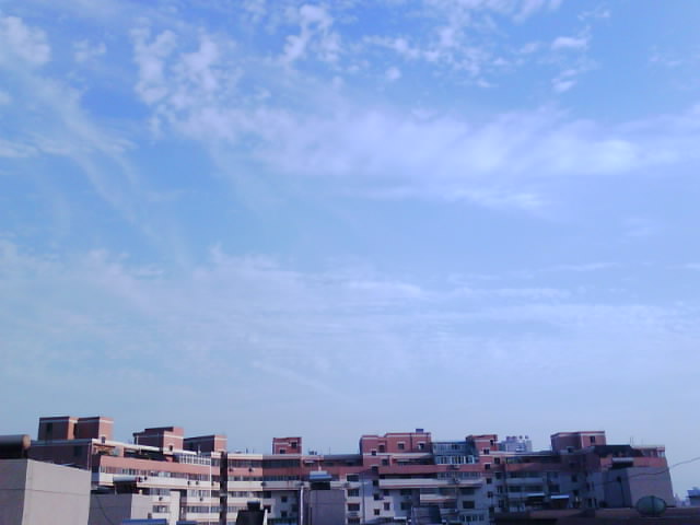 IMG0215A.jpg