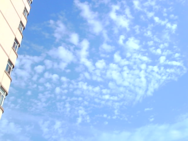 IMG0226A.jpg