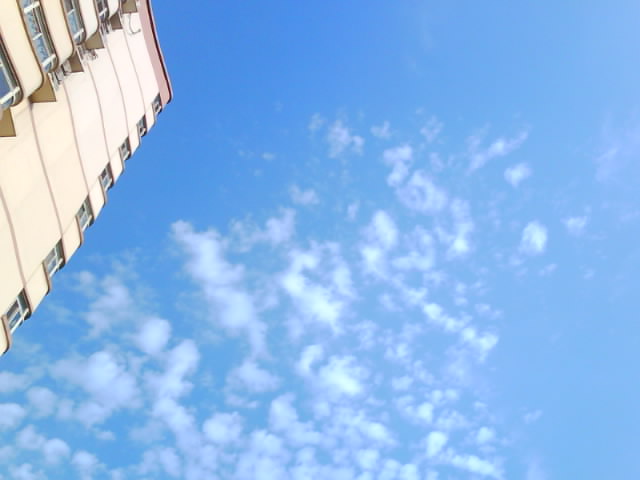 IMG0232A.jpg