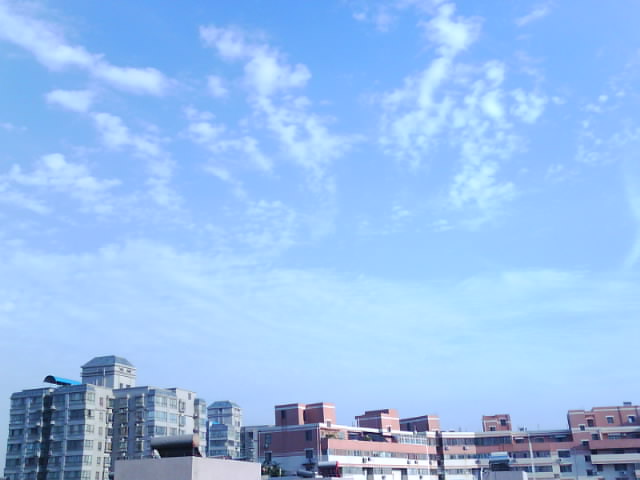 IMG0101A.jpg