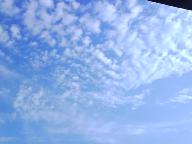IMG0203A.jpg
