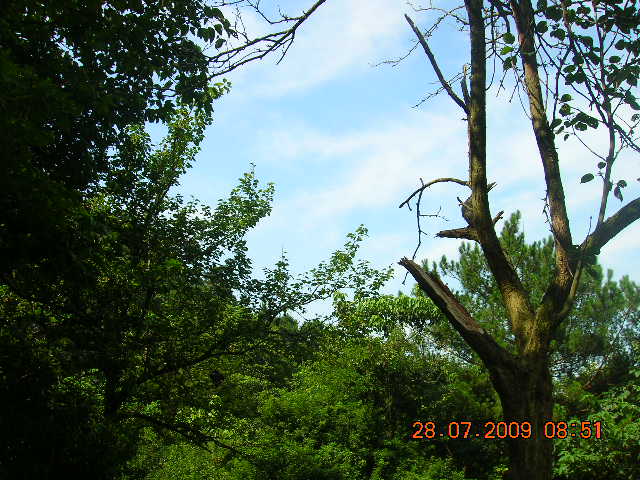 DSCN0156.JPG