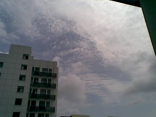 20090807.jpg