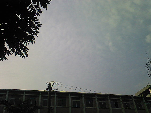 相片-0469.jpg