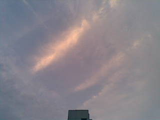 20090818.jpg