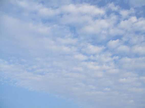 DSCF9603.JPG