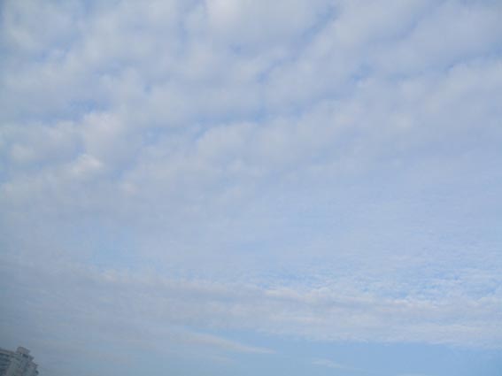 DSCF9620.JPG