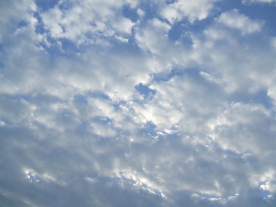 DSCF9611.JPG