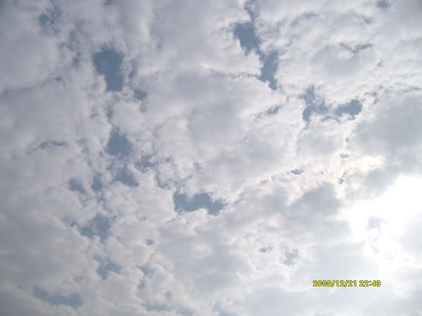 S7303317.JPG