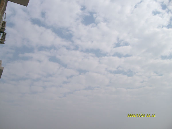 S7303316.JPG