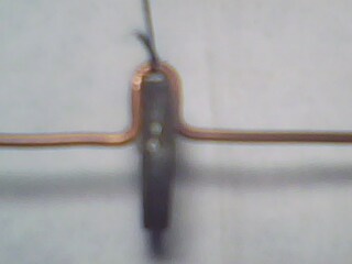 IMG0291A.jpg