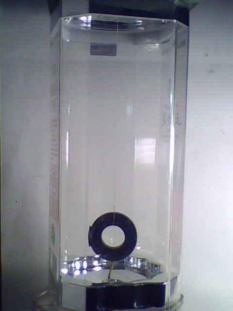 IMG0307A.jpg
