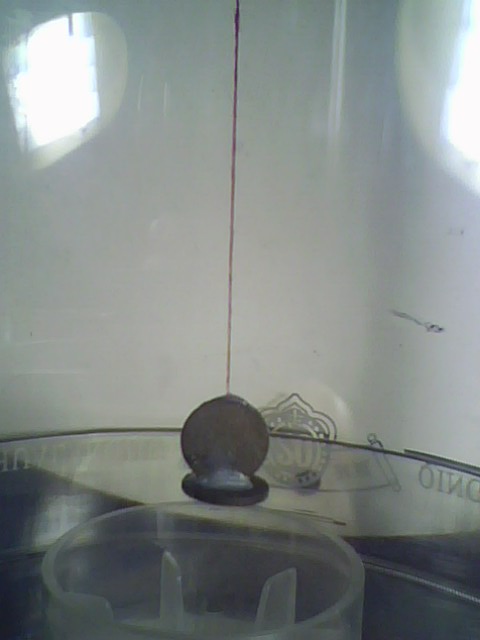 IMG0310A.jpg