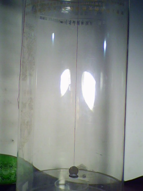 IMG0309A.jpg