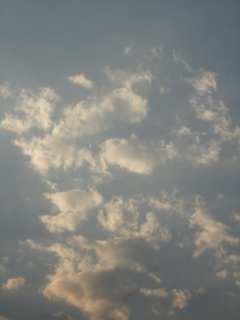 昆明3.4 18：30_conew1.jpg