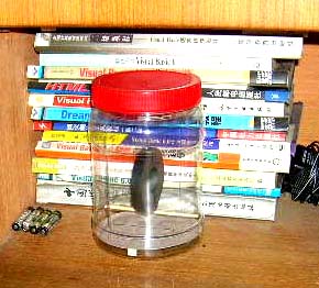 DSCN0495.jpg