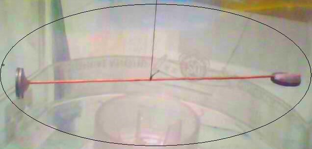IMG0340A_副本.jpg