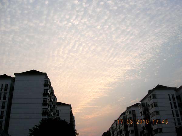 3DSCN0514.jpg