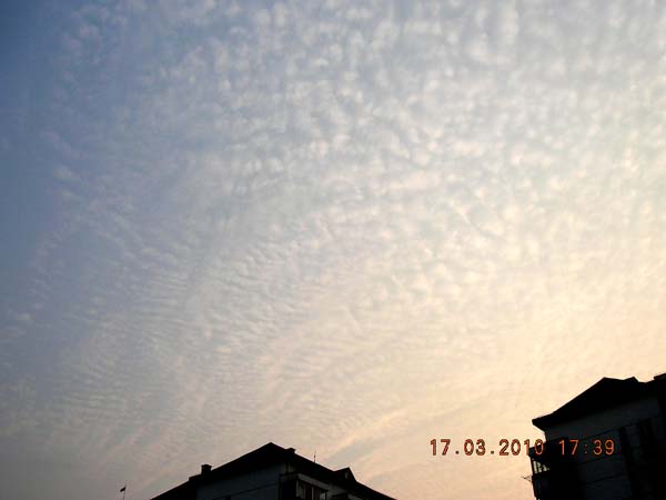 1DSCN0509.jpg