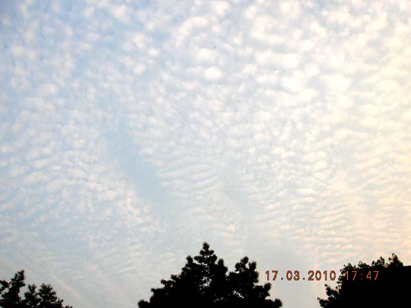 4DSCN0515.jpg