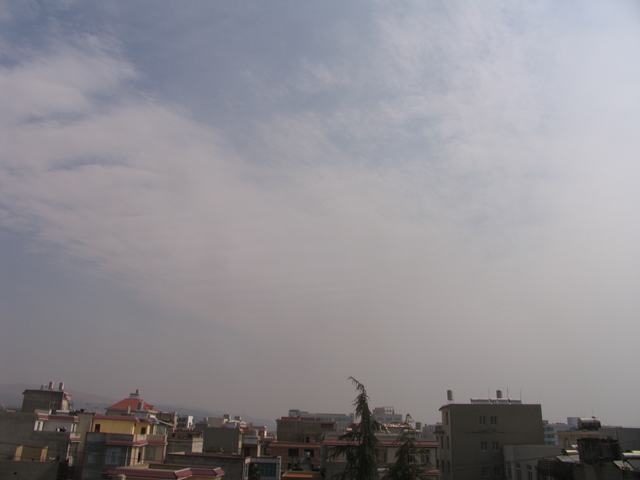 IMG_0001.jpg