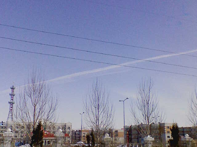 201003181237571.jpg