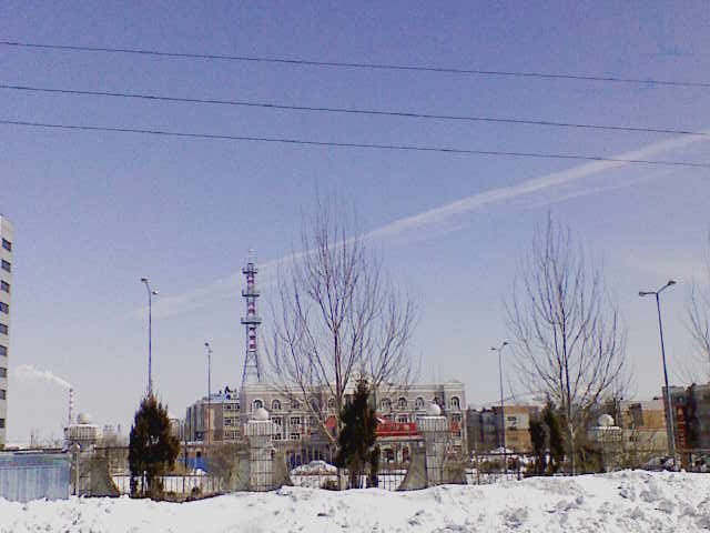 201003181237481.jpg