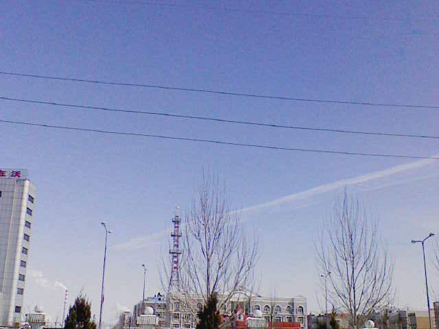 201003181238251.jpg