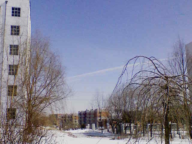 201003181242081.jpg