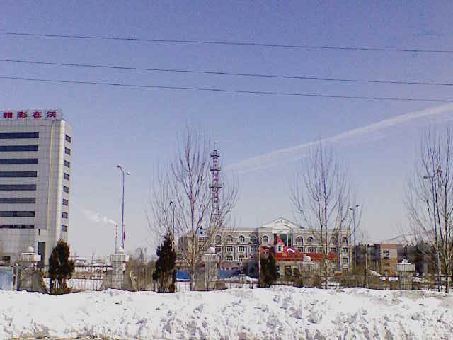 201003181239211.jpg
