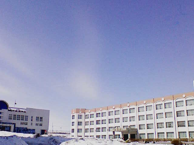 201003181239071.jpg