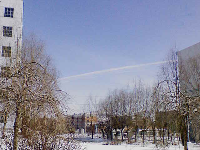 201003181242001.jpg