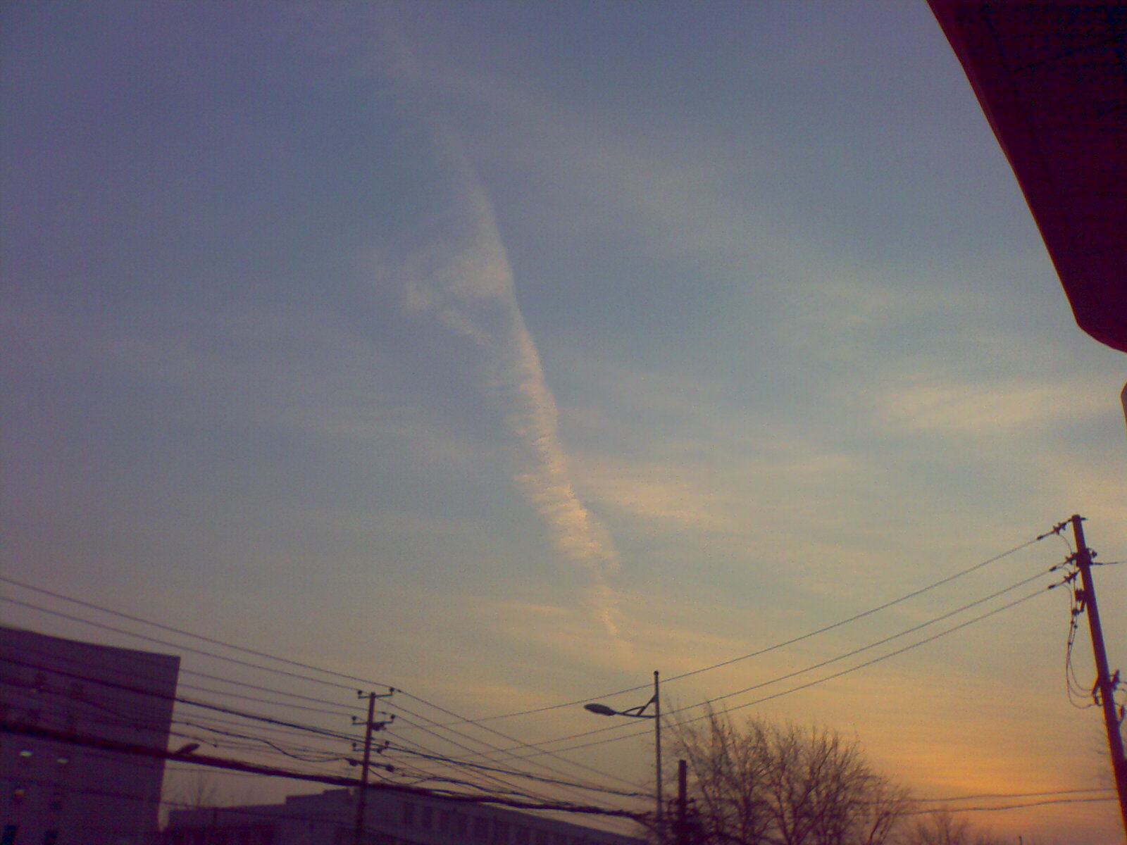 20100114_268.jpg