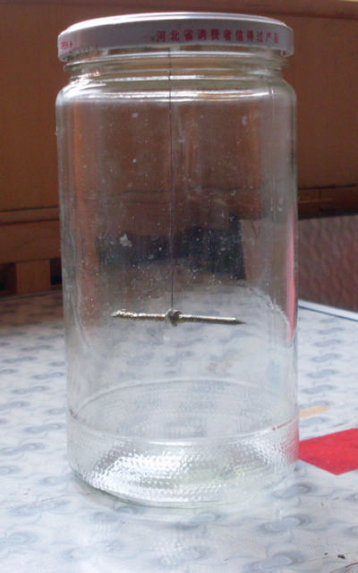 SDC11744.JPG