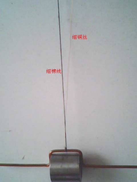 IMG0386A_副本.jpg