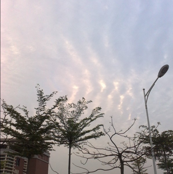这个是4.27晚上6点半左右，厦门拍的。云的走向是南北方向（南偏西北偏东一点）我只会这样描述了