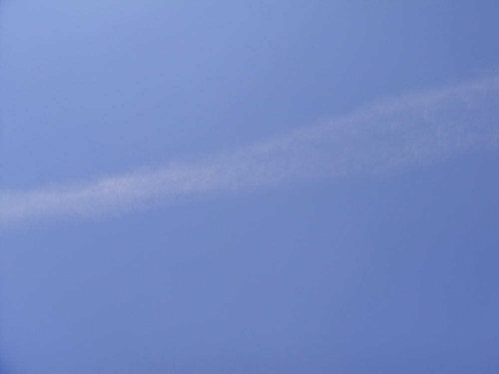 1331up80x1.jpg