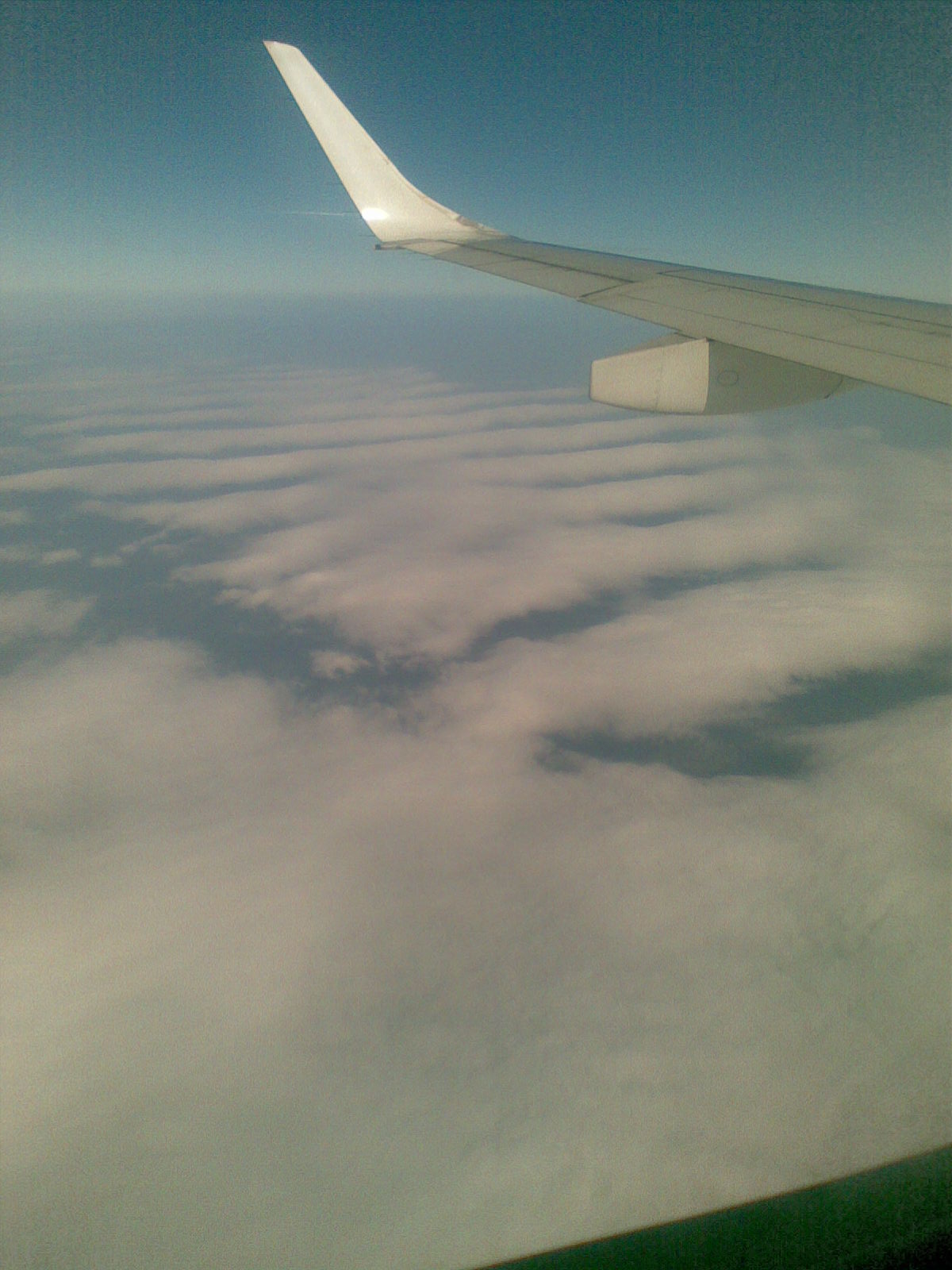20100423_001.jpg