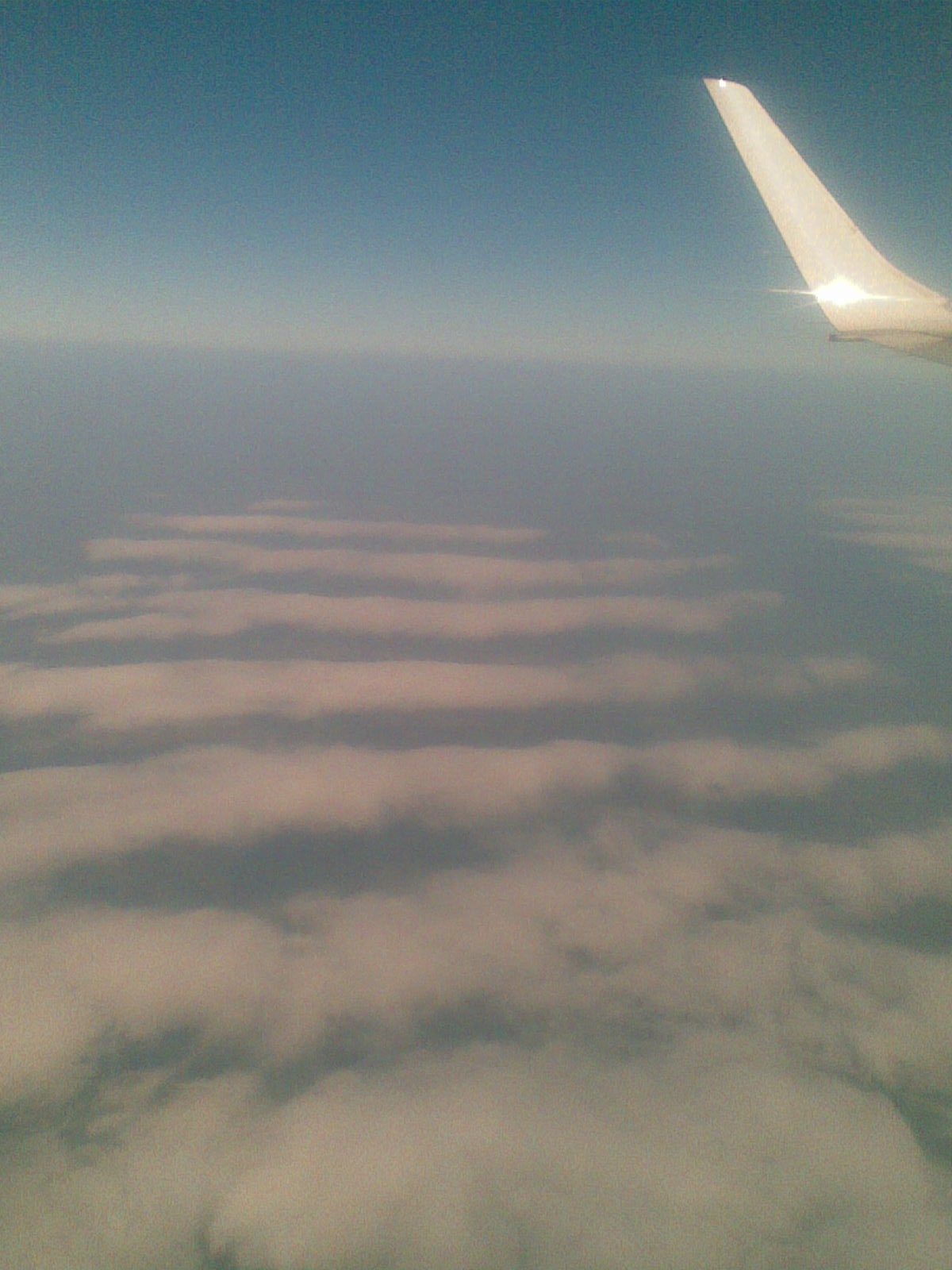 20100423_006.jpg