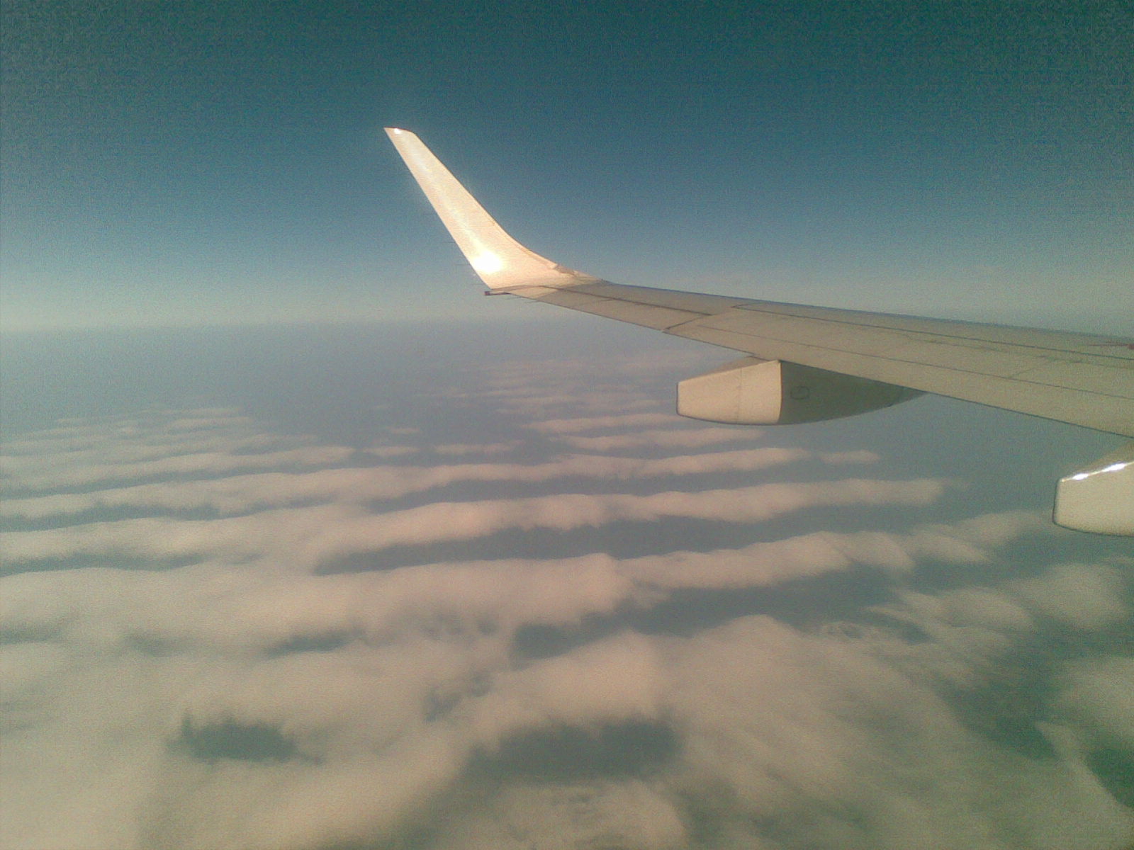20100423_007.jpg