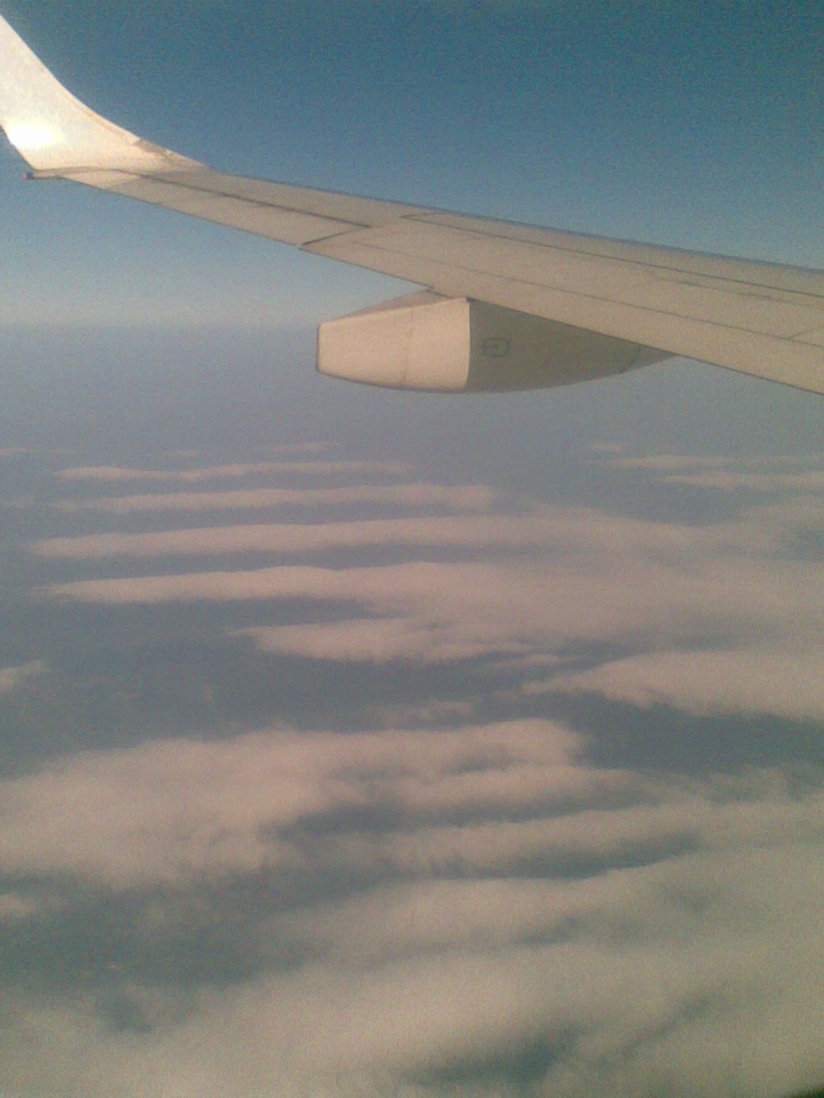 20100423_004.jpg