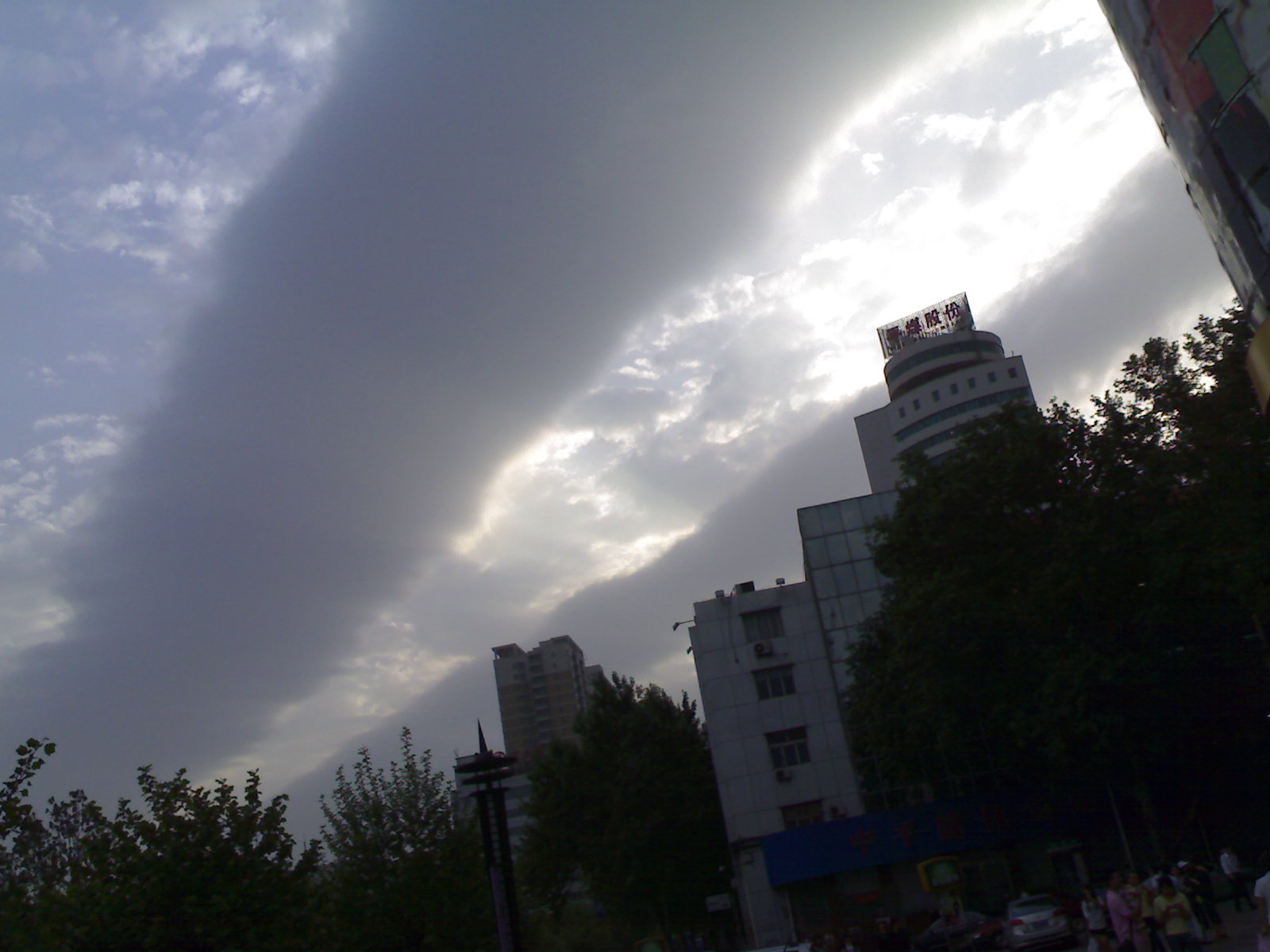 20100505019.jpg