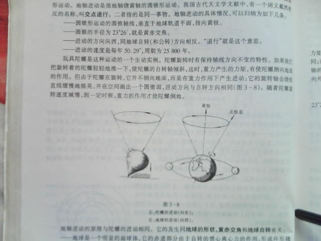 萝卜.JPG