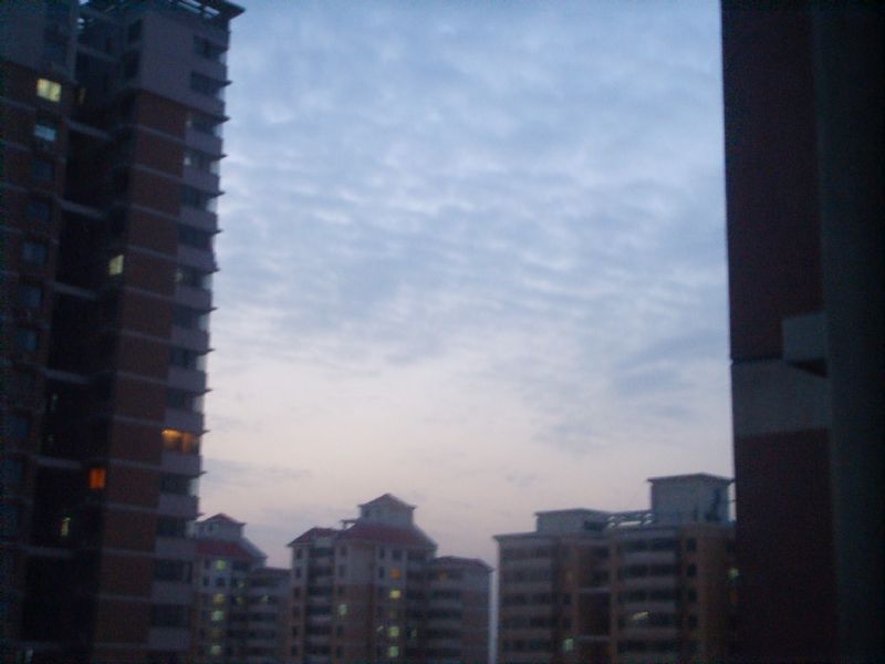 马上.jpg
