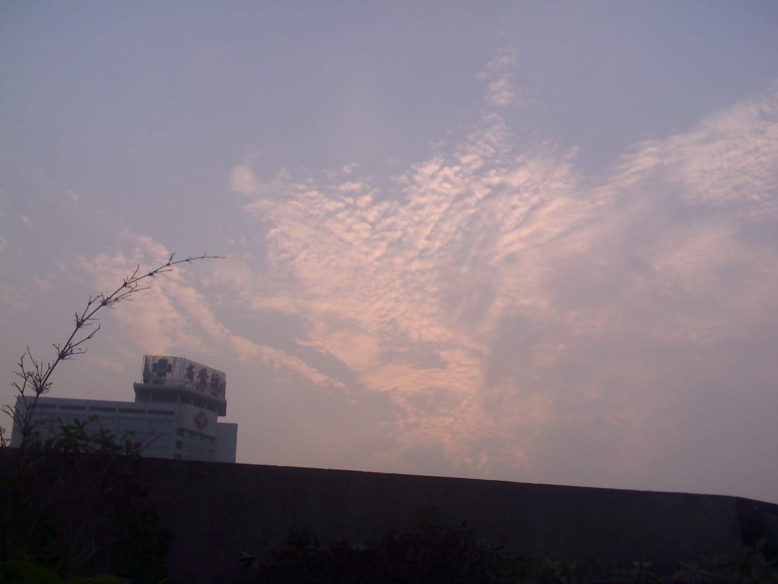0104_062336.jpg