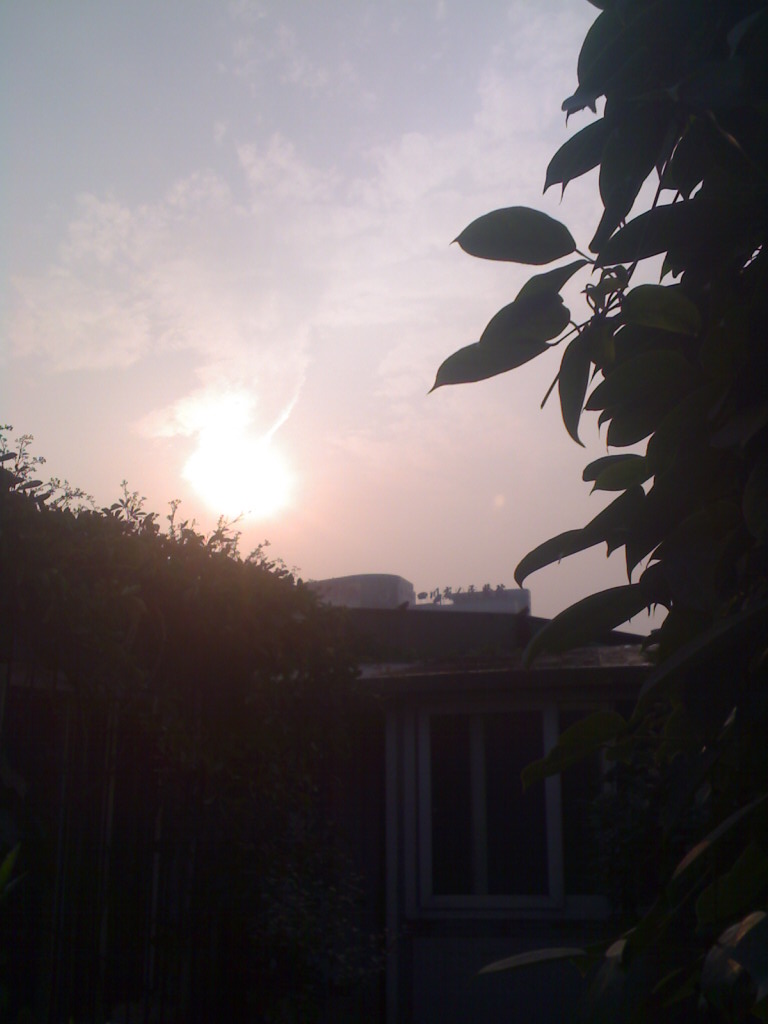 0104_055650.jpg