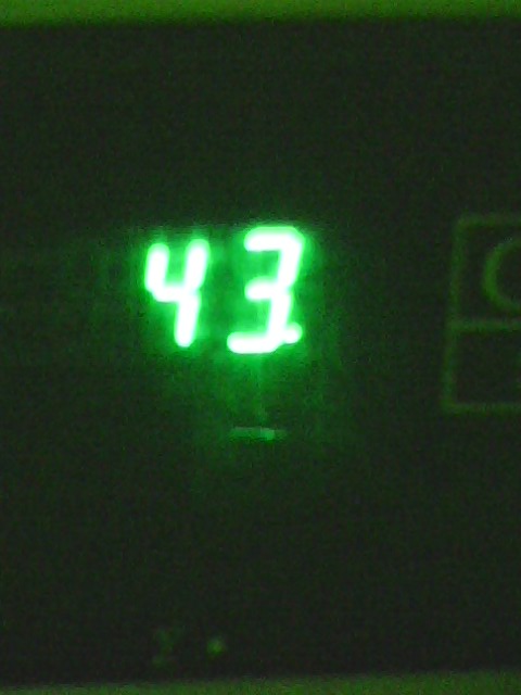 IMG0398A.jpg