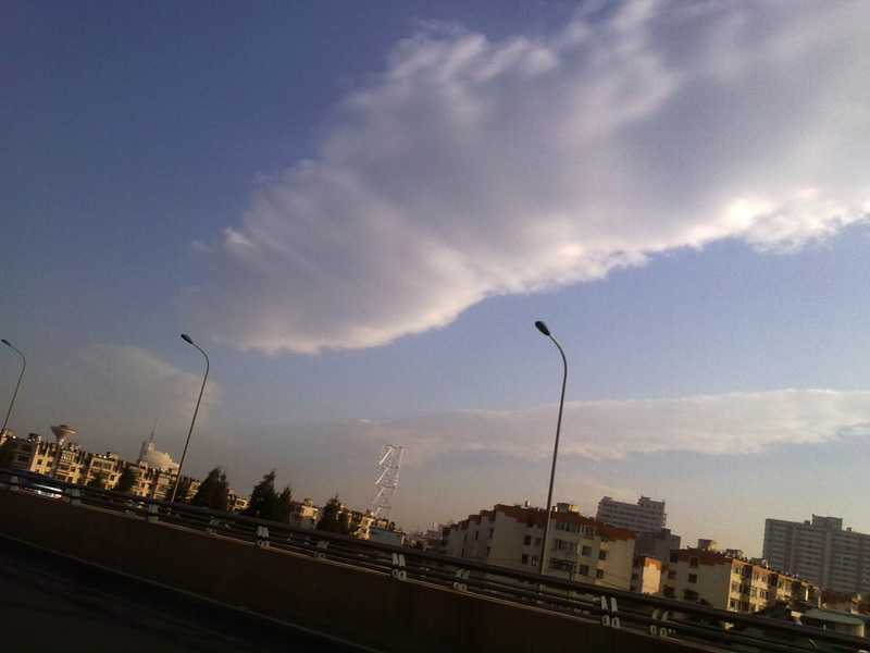20100518033.jpg