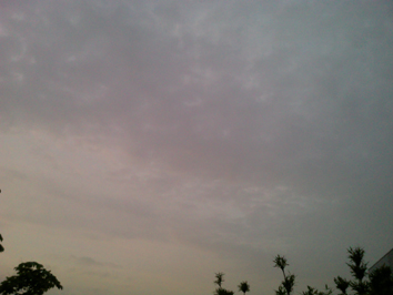 20100519_002.jpg