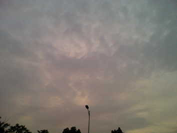 20100519_001.jpg